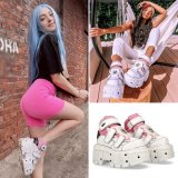 新作NEW ROCK 取り扱い開始！