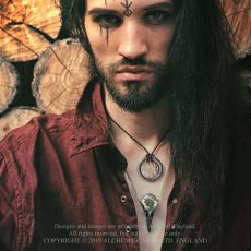 画像2: Volvan Ravenskull/ネックレス【Alchemy Gothic】 (2)