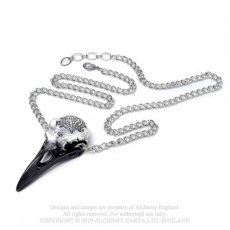 画像10: Volvan Ravenskull/ネックレス【Alchemy Gothic】 (10)