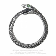 画像7: The Sophia Serpent/リング【Alchemy Gothic】 (7)