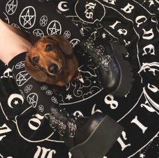 画像9: [取り寄せ]ASHES-55 / black / 厚底ブーツ【DEMONIA】 (9)