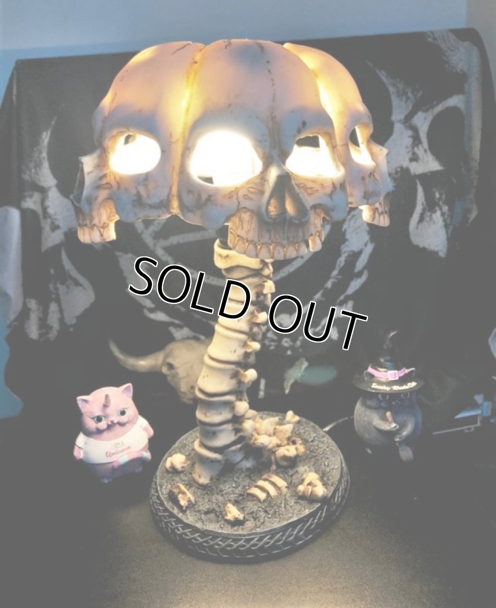 画像5: Atrocity 37.5cm / 死の象徴 -骸骨と背骨- / スタンドライト【NEMESIS NOW】 (5)