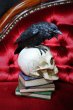 画像7: Poe's Raven / オーナメント【Alchemy Gothic】 (7)