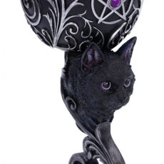 画像7: 🔥SALE🔥Familiars Love Goblets 18.5cm / グラス【NEMESIS NOW】 (7)