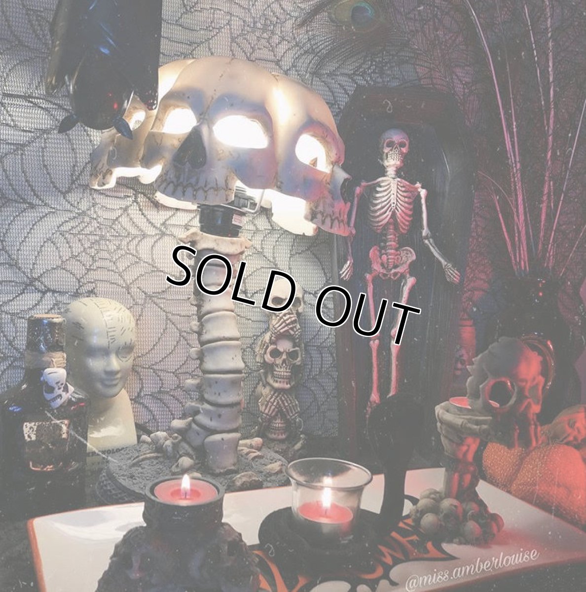 画像3: Atrocity 37.5cm / 死の象徴 -骸骨と背骨- / スタンドライト【NEMESIS NOW】 (3)