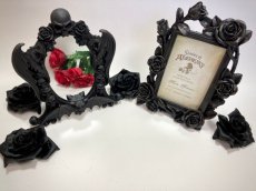 画像5: Nosferatu / BLACK / ミラー【Alchemy Gothic】 (5)
