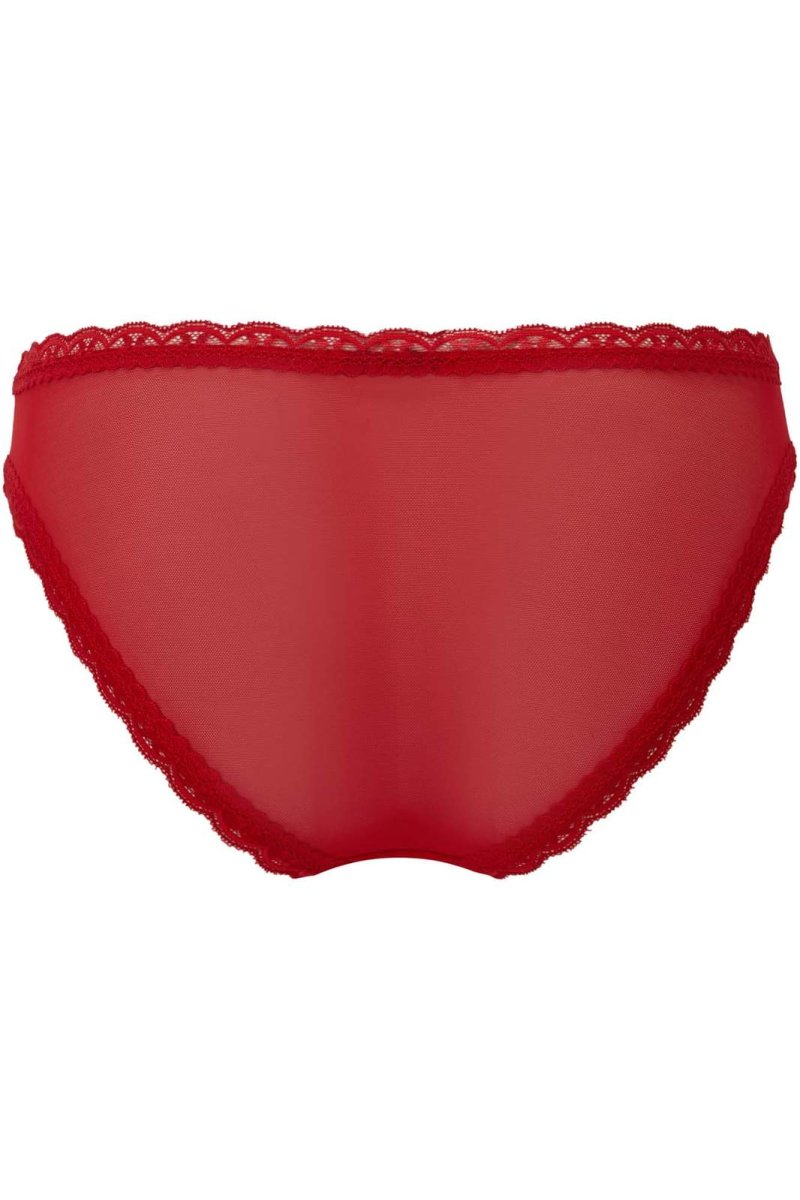 画像2: 🔥SALE🔥She Bites Lace Panty / SCARLET【KILL STAR】 (2)