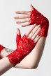 画像3: Embrace The Night Lace Gloves / Blood / アームカバー【KILL STAR】 (3)