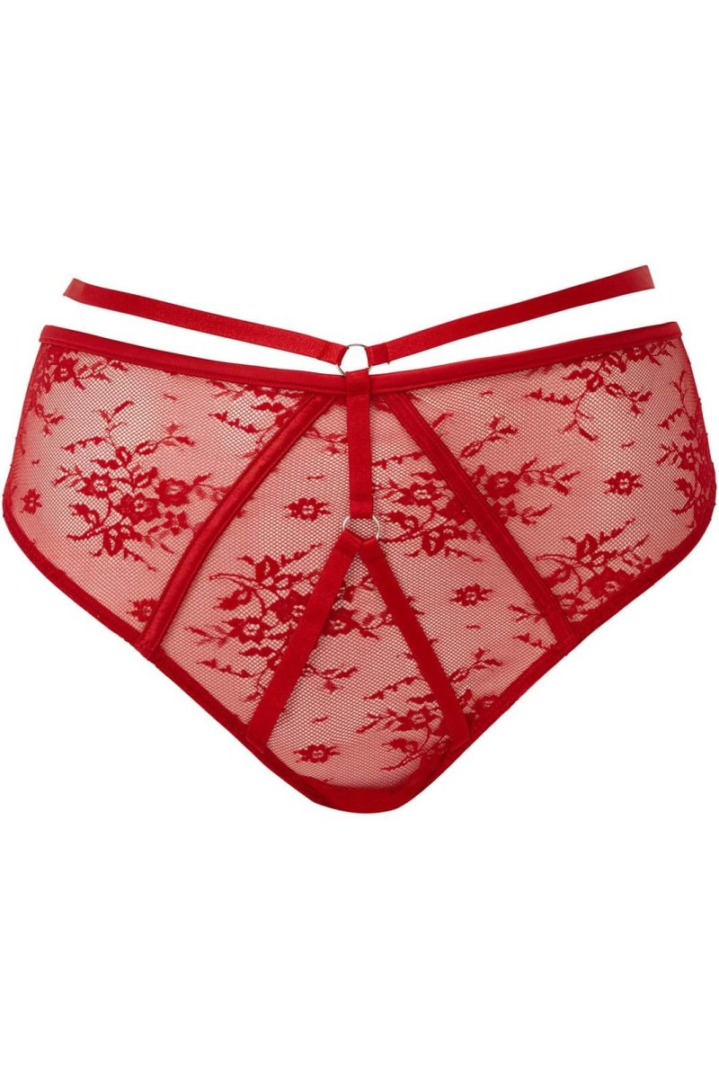 画像1: 🔥SALE🔥Deadly Attraction Panty / SCARLET【KILL STAR】 (1)