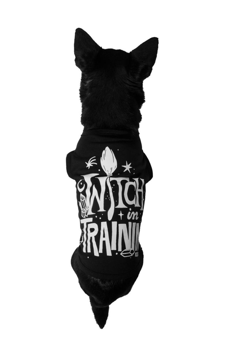 画像1: Witch In Training Pet Vest / ペット用の服【KILL STAR】 (1)