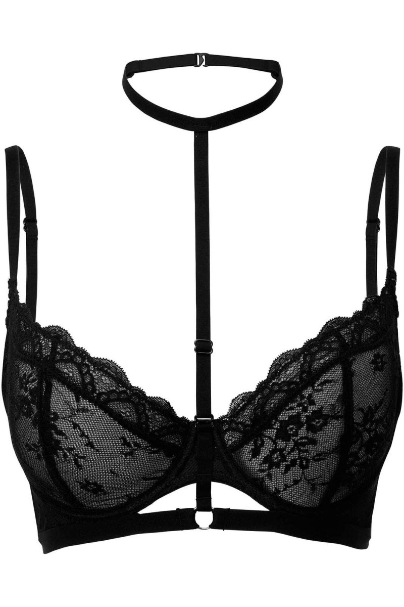 画像1: 🔥SALE🔥Sheer Evil Bra / BLACK【KILL STAR】 (1)