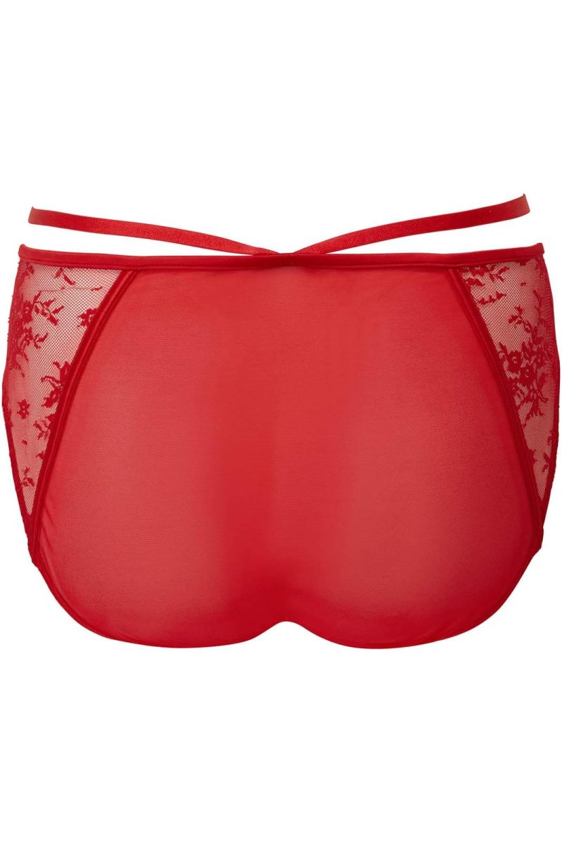 画像2: 🔥SALE🔥Deadly Attraction Panty / SCARLET【KILL STAR】 (2)