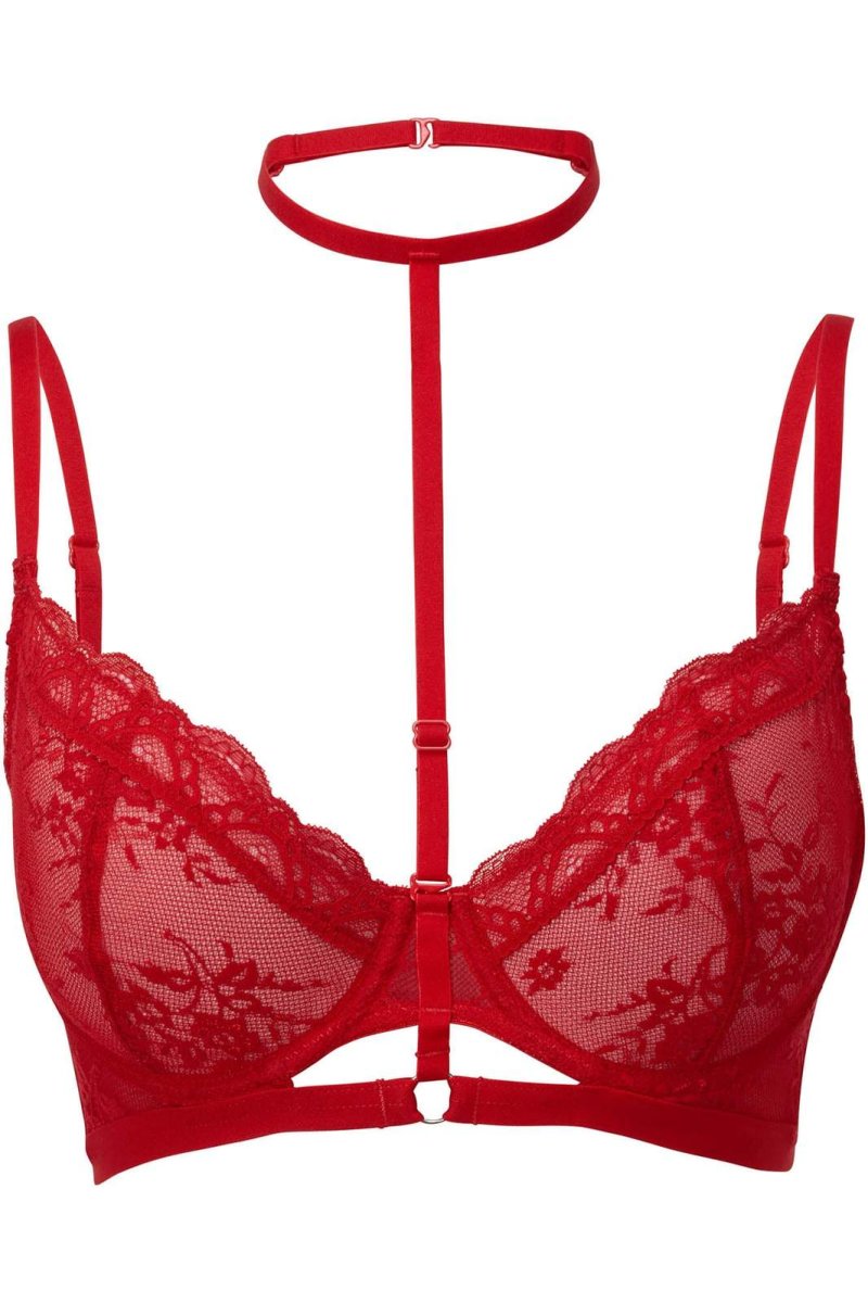 画像1: 🔥SALE🔥Sheer Evil Bra / SCARLET【KILL STAR】 (1)