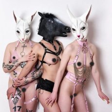 画像14: Hell Kitty Fishnet Bralet / PASTEL PINK【KILL STAR】 (14)