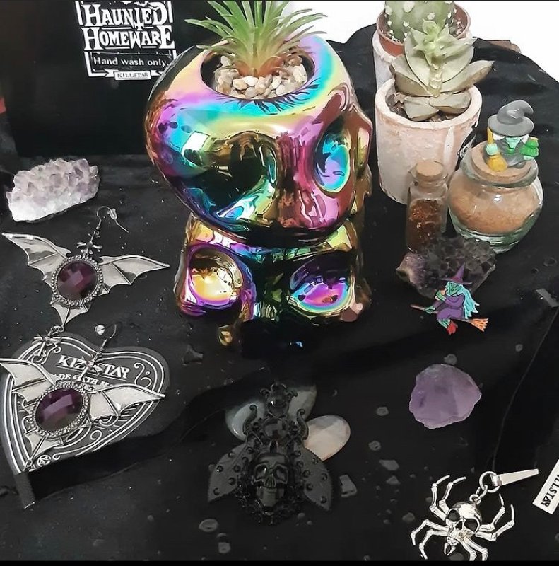 Biancalani 花瓶☆SALE Biancalani 花瓶☆SALE ZINNIA Pumilia Mixed Colors - Zinnia