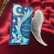 画像8: Angel Wings Embossed Purse 18.5cm / 財布【NEMESIS NOW】 (8)