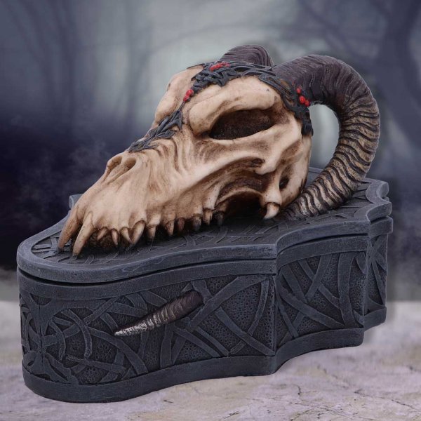 画像1: Dragon Head Skull Box (Monte Moore) 17.7cm / 小物入れ【NEMESIS NOW】 (1)