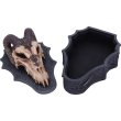 画像7: Dragon Head Skull Box (Monte Moore) 17.7cm / 小物入れ【NEMESIS NOW】 (7)