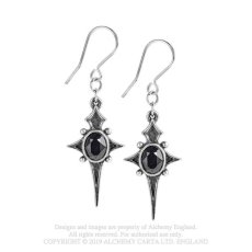 画像1: STERNE LEBEN / ピアス【Alchemy Gothic】 (1)