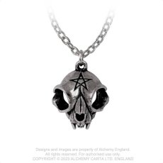 画像1: MY FOREVER FRIEND / ネックレス【Alchemy Gothic】 (1)