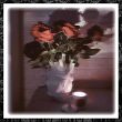 画像12: 【SRW】Heart Vase / 花瓶 (12)