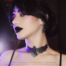 画像1: CURSE OF CORONIS  / ネックレス【Alchemy Gothic】 (1)