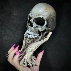 画像8: Metallica - Sad But True Skull 22cm / オーナメント【NEMESIS NOW】 (8)