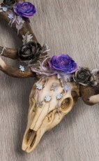 画像4: 🔥SALE🔥Antlers of Eden 45cm / 禁断のエデンの角 -鹿頭骨- / 壁掛けオーナメント【NEMESIS NOW】 (4)