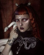 画像8: Black Velvet Top / Snake / トップス【Restyle】 (8)