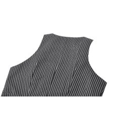 画像10: Dark Striped Academic Vest / ベスト【DARK IN LOVE】 (10)