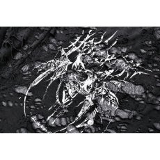 画像12: Black Distressed Graphic Tank Top / トップス【DARK IN LOVE】 (12)