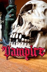 画像6: Vampire Patch / アイロンパッチ【VampireFreaks】 (6)