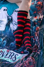 画像1: Creepy Crew Socks / Red x Black Stripes / ソックス【VampireFreaks】 (1)