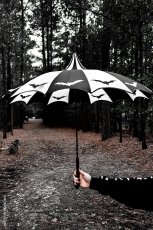 画像4: Batwing Pagoda Umbrella / パゴダ傘【VampireFreaks】 (4)