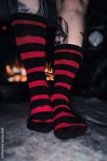 画像5: Creepy Crew Socks / Red x Black Stripes / ソックス【VampireFreaks】 (5)