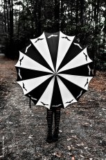 画像2: Batwing Pagoda Umbrella / パゴダ傘【VampireFreaks】 (2)