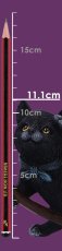 画像8: Familiar Flight 14.5cm / cat / オーナメント【NEMESIS NOW】 (8)