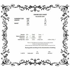 画像15: Retro Lace Petticoat / スカート【DARK IN LOVE】 (15)