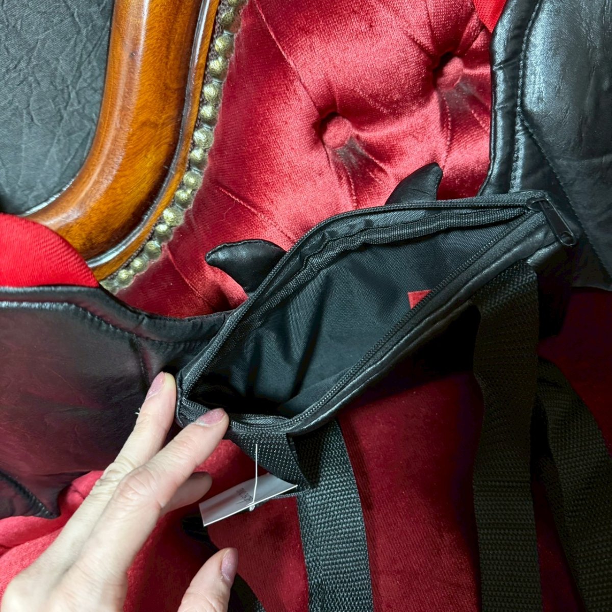 画像5: Bat Wing Backpack / バッグパック【SPOOKYVILLE CRITTERS】 (5)