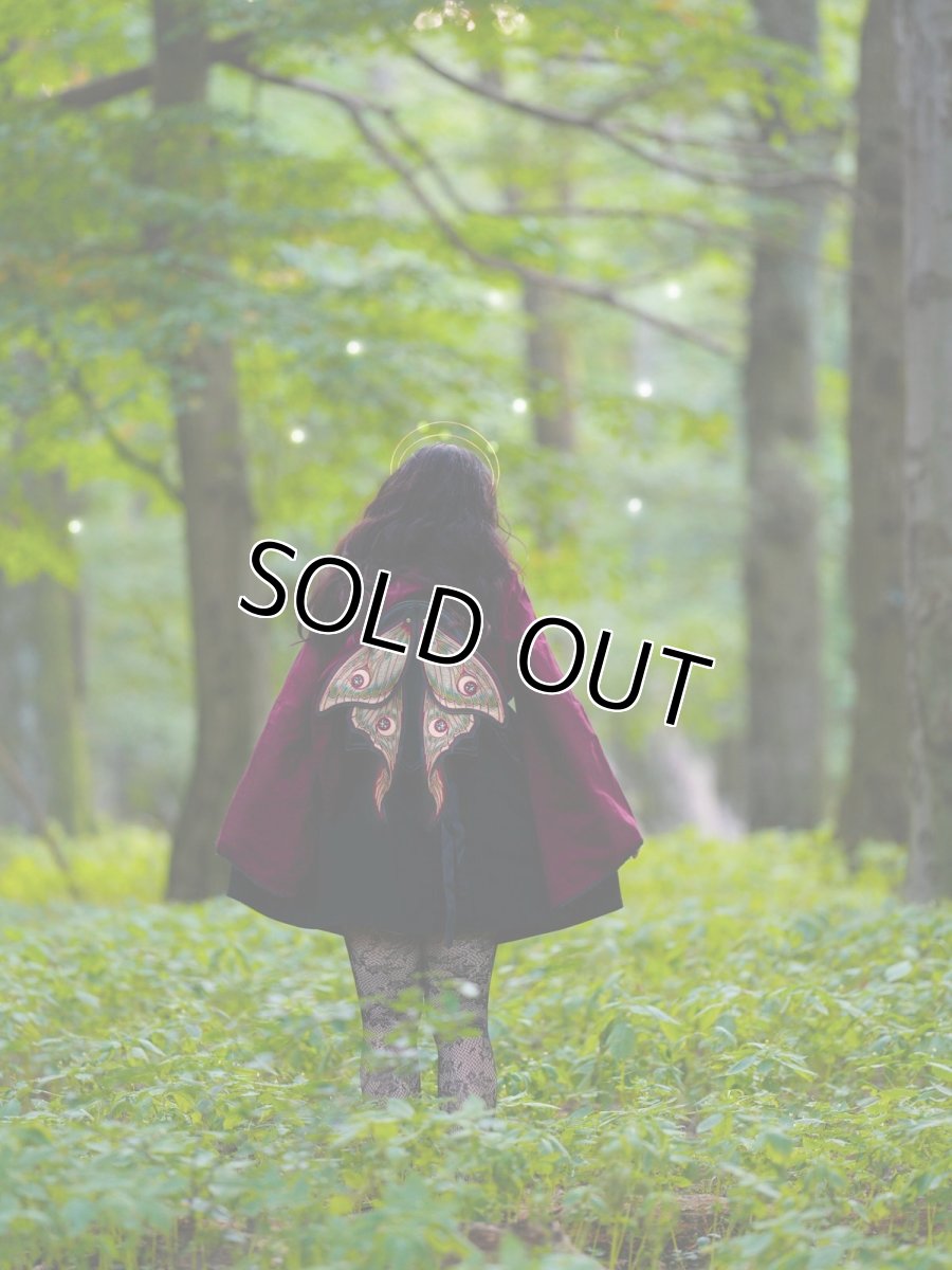 画像29: METAMORPHOSIS / 変貌 /  バックパック【Restyle】 (29)