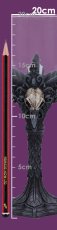 画像8: ✨期間限定予約✨Gothic Raven Nevermore Goblet / 黒鴉のゴブレット【NEMESIS NOW】 (8)