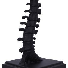 画像6: ✨期間限定予約✨Vertebrae Table Lamp / 背骨テーブルランプ【NEMESIS NOW】 (6)