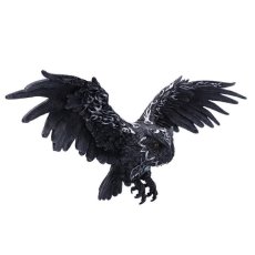 画像5: ✨期間限定予約✨Dark Feather 55cm / 闇の翼/ 壁掛けオーナメント【NEMESIS NOW】 (5)