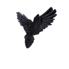 画像3: ✨期間限定予約✨Flight of the Raven 35cm / 鴉の飛翔/ 壁掛けオーナメント【NEMESIS NOW】 (3)