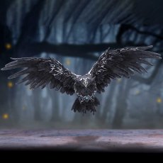 画像1: ✨期間限定予約✨Dark Feather 55cm / 闇の翼/ 壁掛けオーナメント【NEMESIS NOW】 (1)