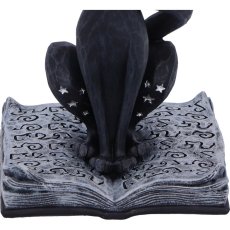 画像6: ✨期間限定予約✨EConjure Spell Cats Figurine 15.2cm / 召喚の魔法 / オーナメント【NEMESIS NOW】 (6)