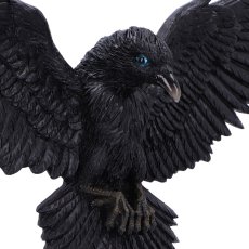 画像5: ✨期間限定予約✨Flight of the Raven 35cm / 鴉の飛翔/ 壁掛けオーナメント【NEMESIS NOW】 (5)