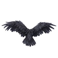 画像4: ✨期間限定予約✨Dark Feather 55cm / 闇の翼/ 壁掛けオーナメント【NEMESIS NOW】 (4)
