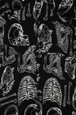 画像8: Anatomy Dress / ワンピース【HELL BUNNY】 (8)