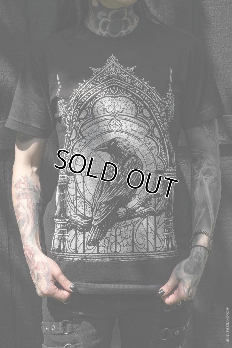 画像1: Cathedral Crow / カラスと大聖堂 / Ｔシャツ【VampireFreaks】 (1)